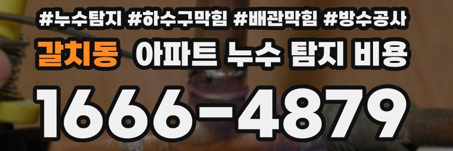 갈치동 아파트 누수 탐지 비용