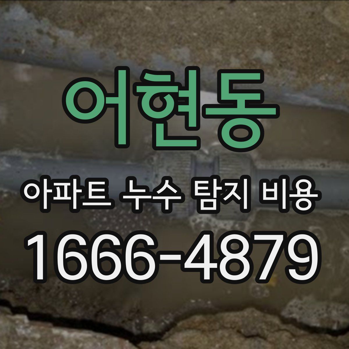 어현동 아파트 누수 탐지 비용
