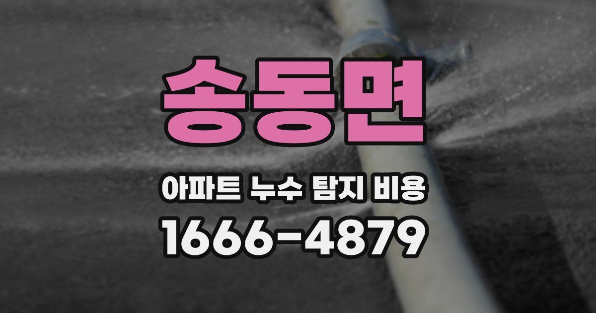 송동면 아파트 누수 탐지 비용
