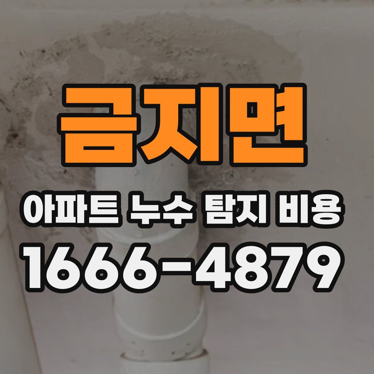 금지면 아파트 누수 탐지 비용