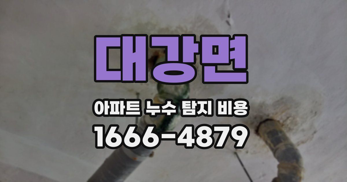 대강면 아파트 누수 탐지 비용