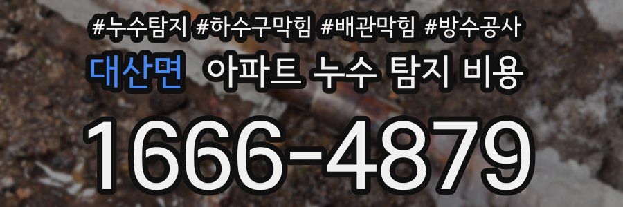 대산면 아파트 누수 탐지 비용