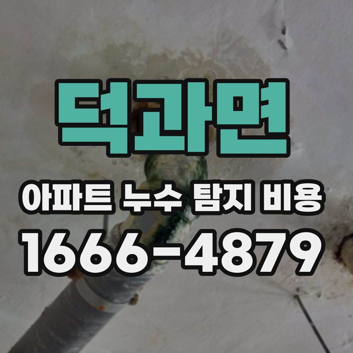 덕과면 아파트 누수 탐지 비용