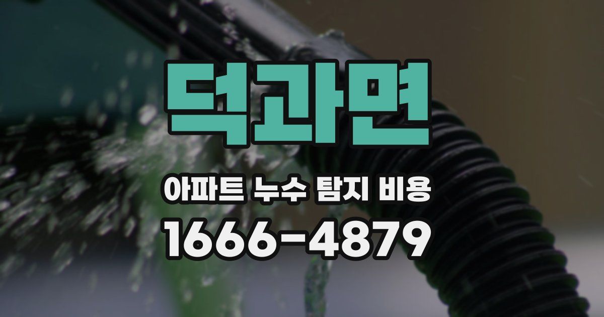 덕과면 아파트 누수 탐지 비용
