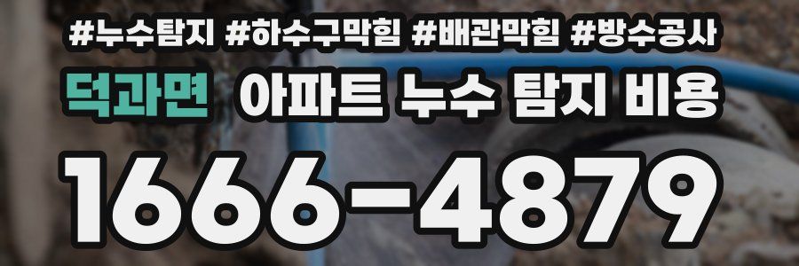 덕과면 아파트 누수 탐지 비용