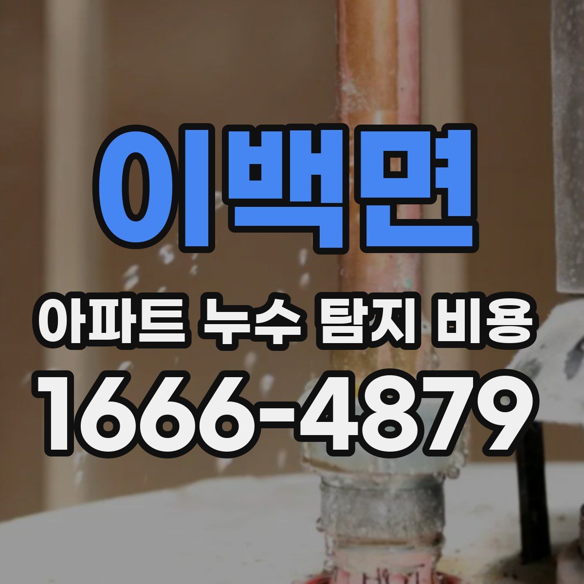 이백면 아파트 누수 탐지 비용