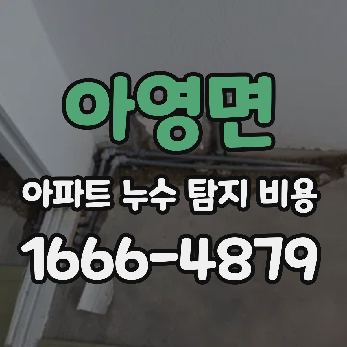 아영면 아파트 누수 탐지 비용