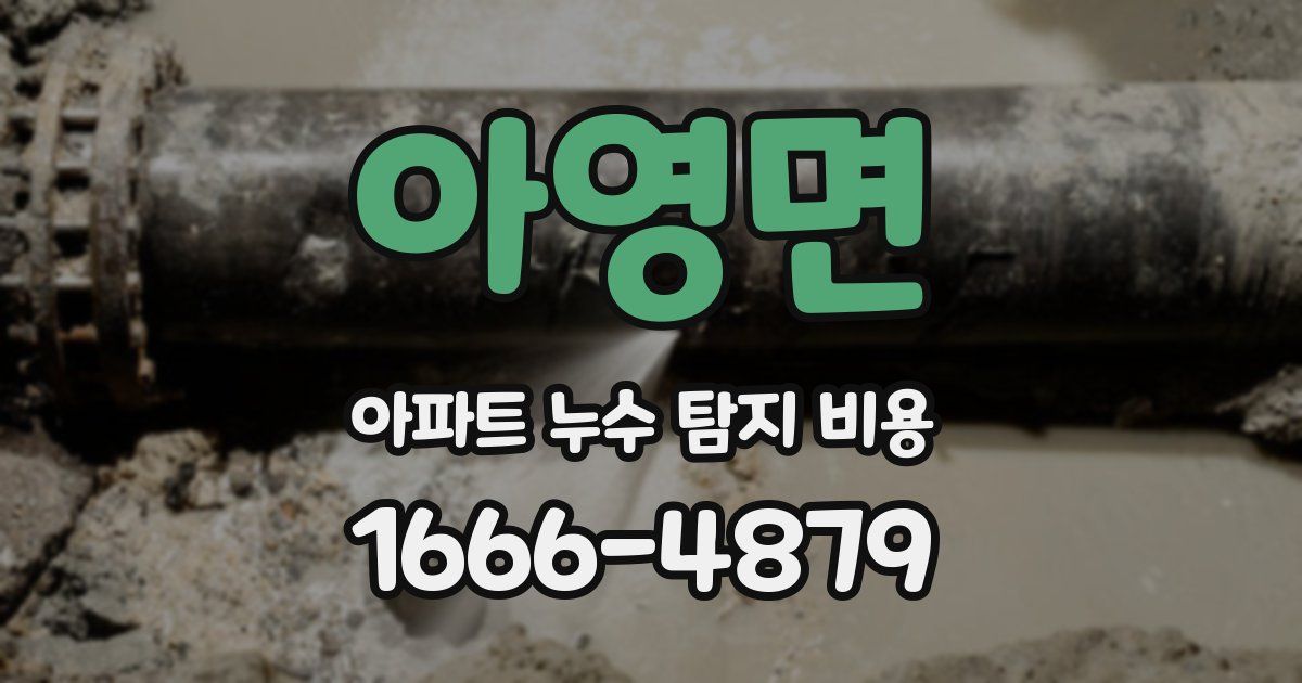 아영면 아파트 누수 탐지 비용