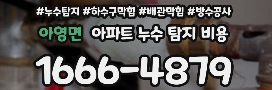 아영면 아파트 누수 탐지 비용