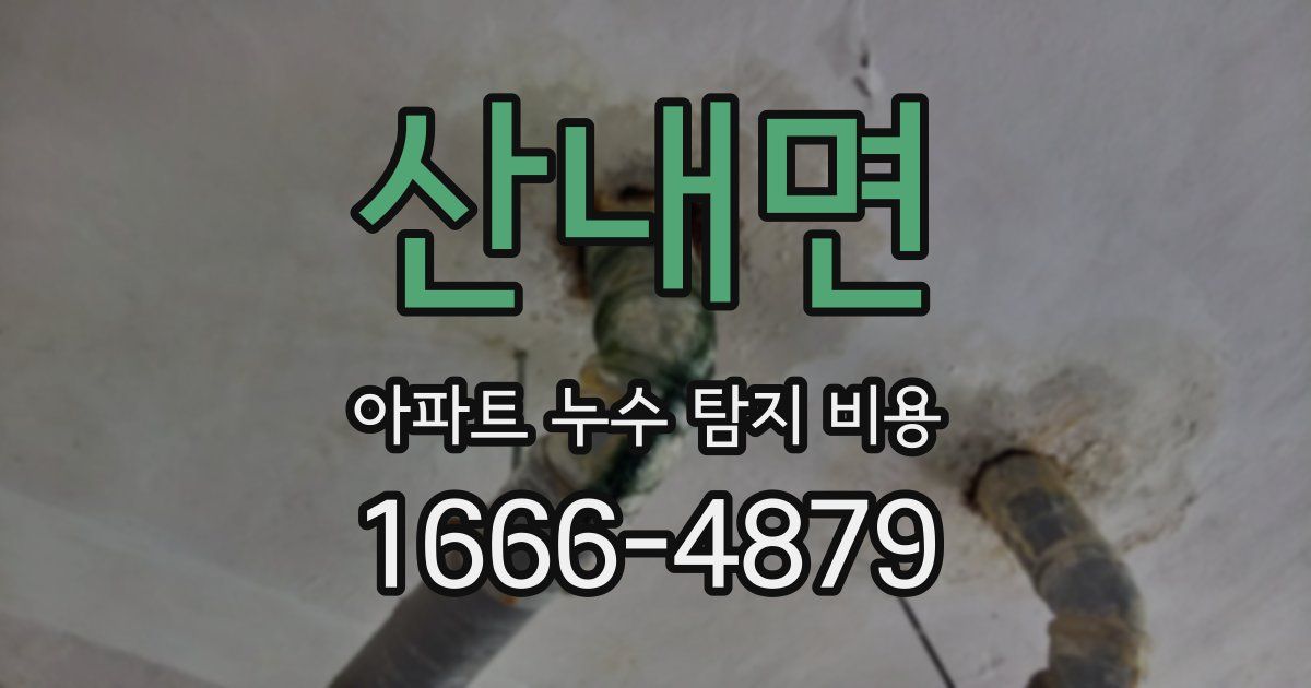 산내면 아파트 누수 탐지 비용