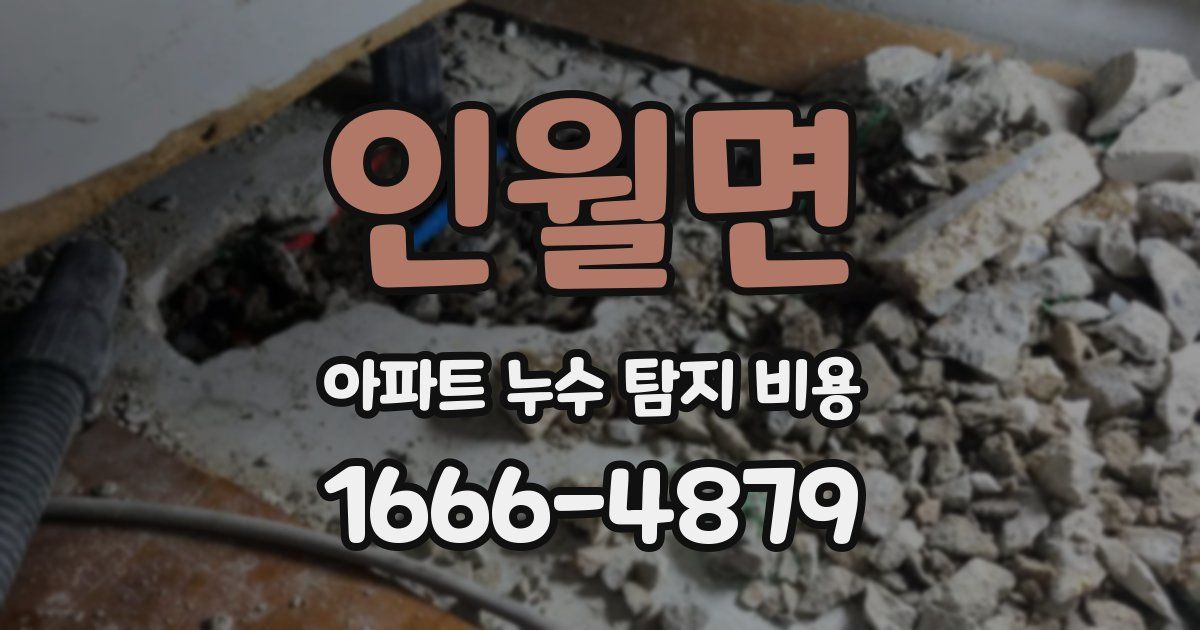 인월면 아파트 누수 탐지 비용