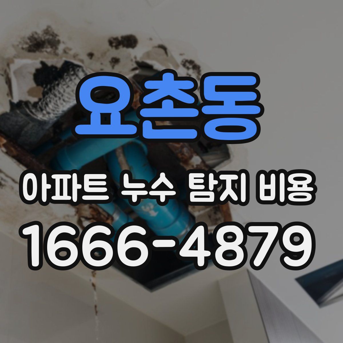 요촌동 아파트 누수 탐지 비용