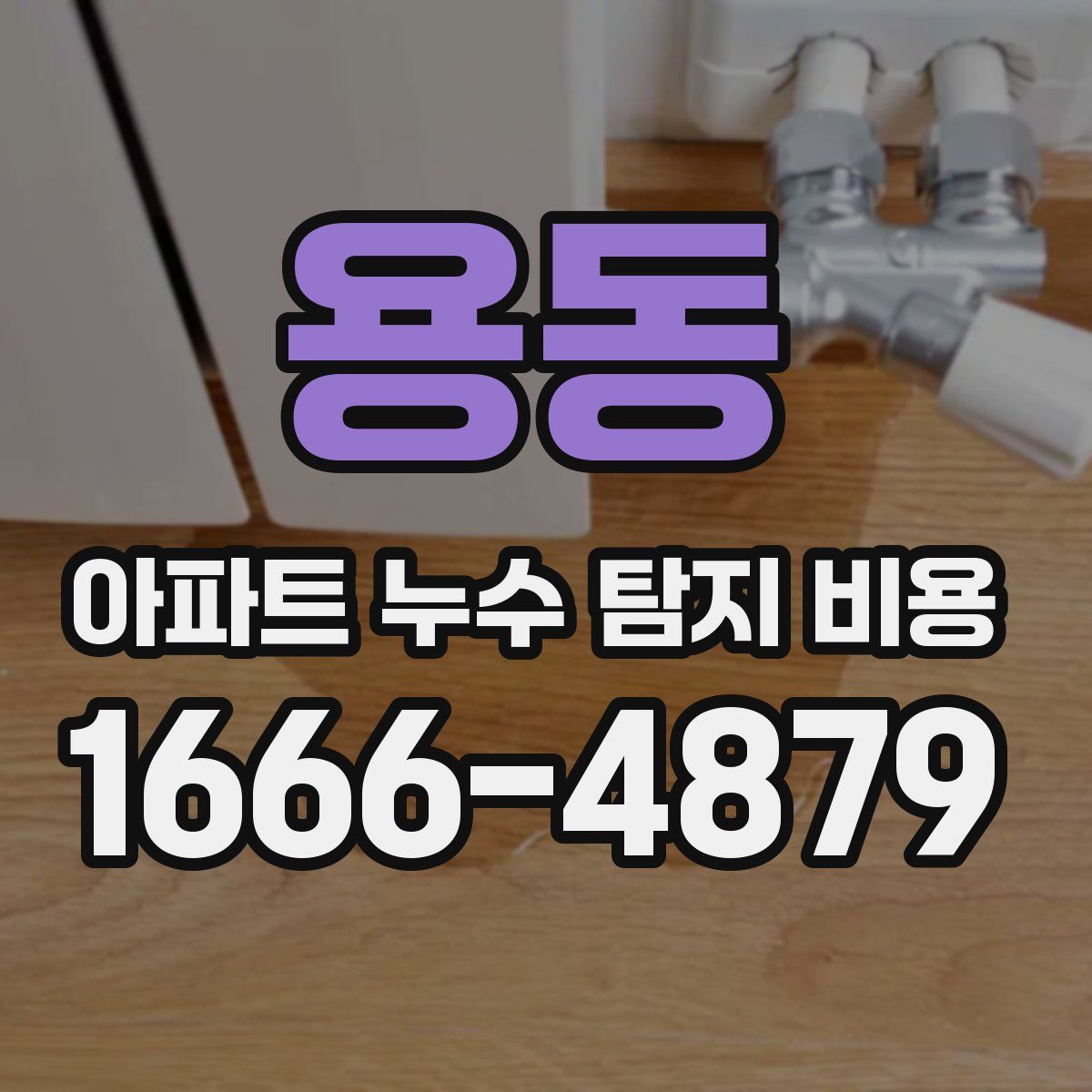 용동 아파트 누수 탐지 비용