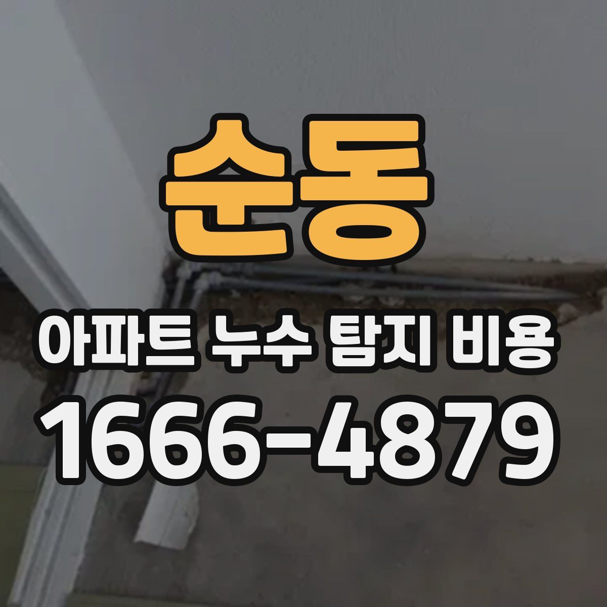 순동 아파트 누수 탐지 비용