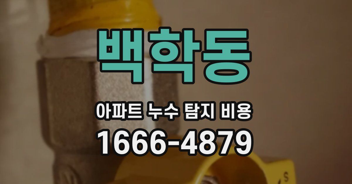 백학동 아파트 누수 탐지 비용