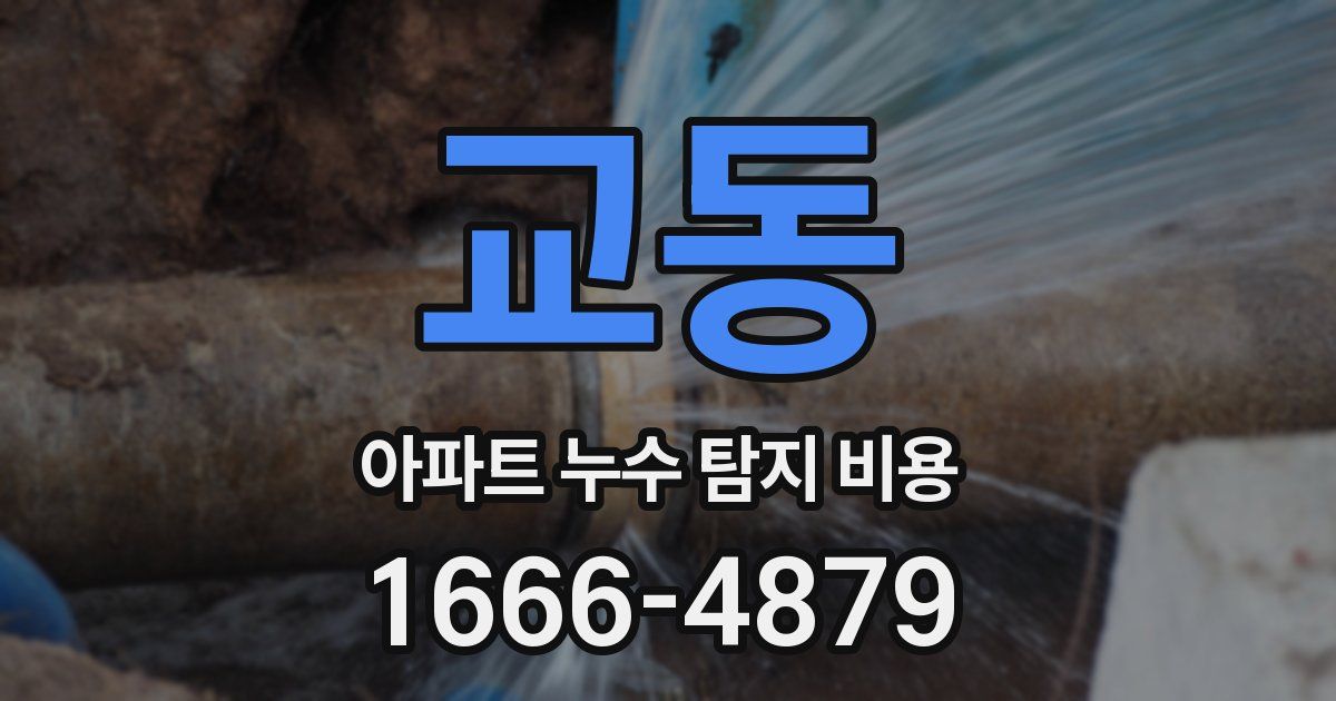 교동 아파트 누수 탐지 비용
