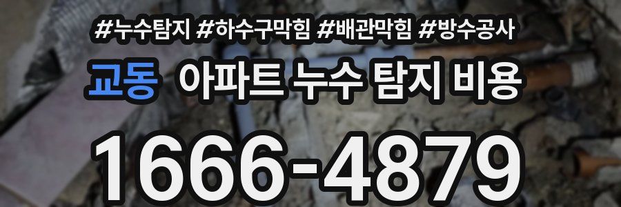 교동 아파트 누수 탐지 비용