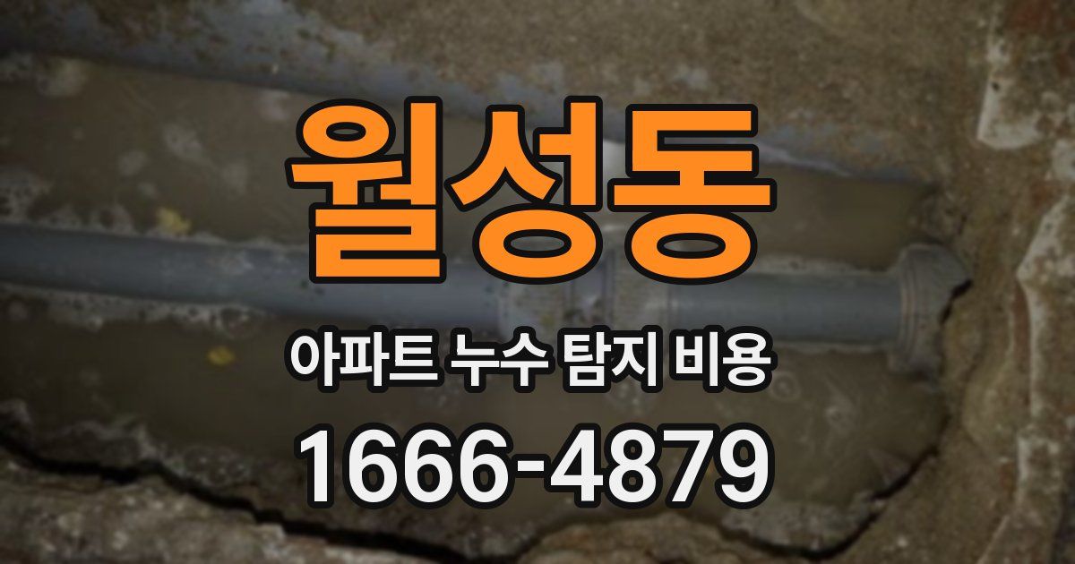 월성동 아파트 누수 탐지 비용