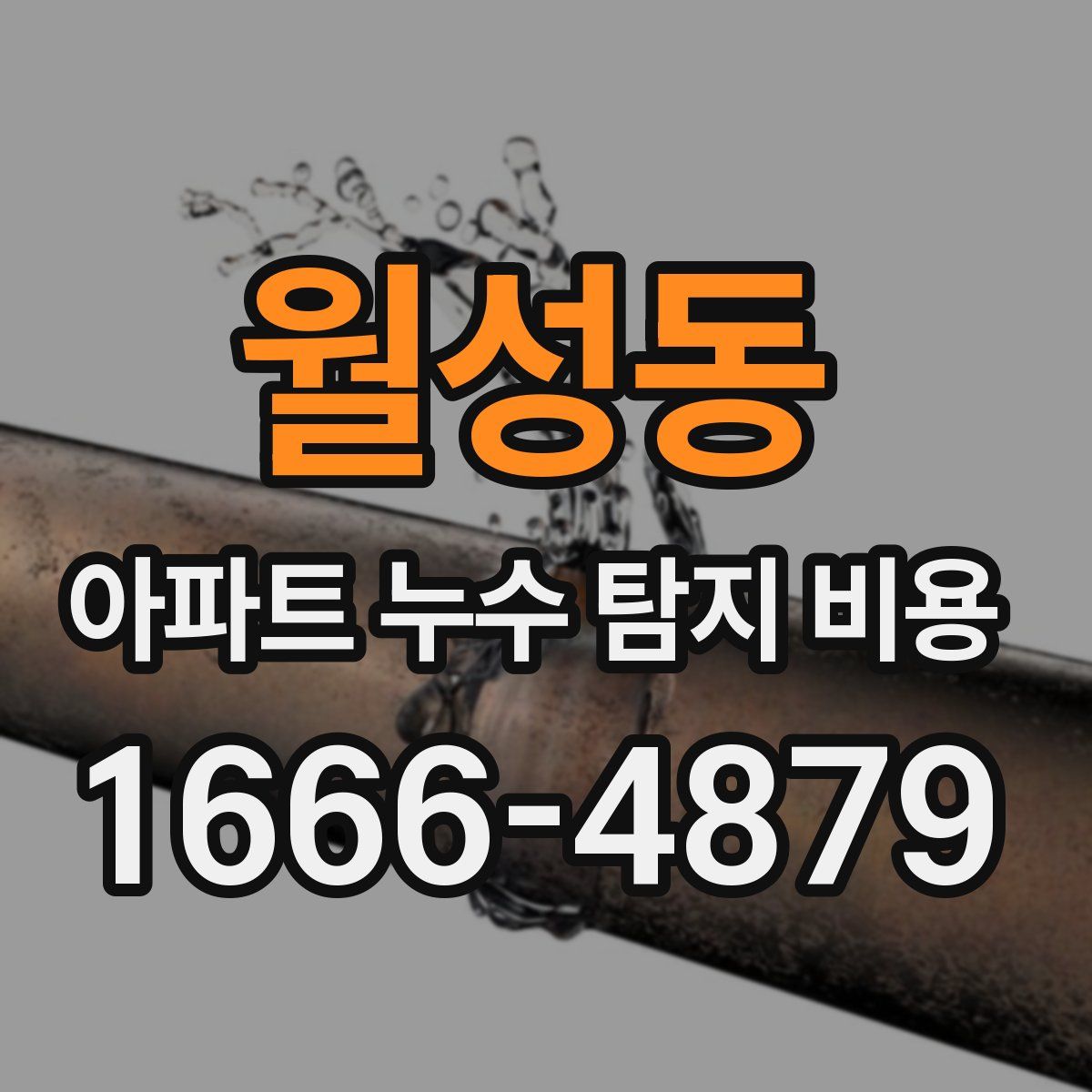 월성동 아파트 누수 탐지 비용