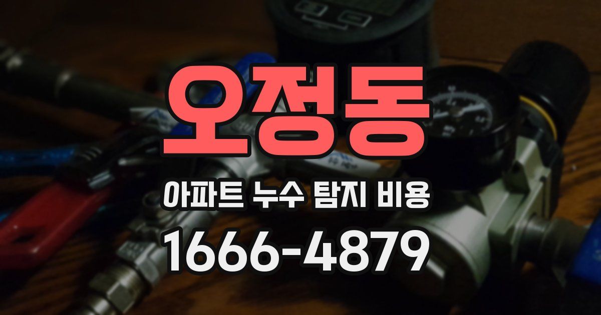 오정동 아파트 누수 탐지 비용