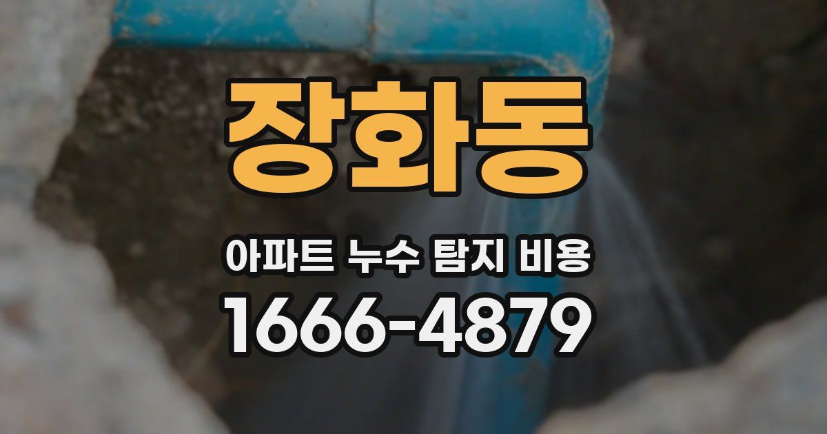 장화동 아파트 누수 탐지 비용