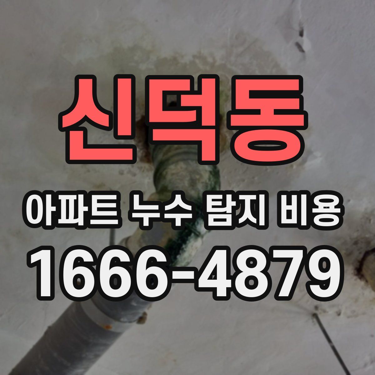 신덕동 아파트 누수 탐지 비용