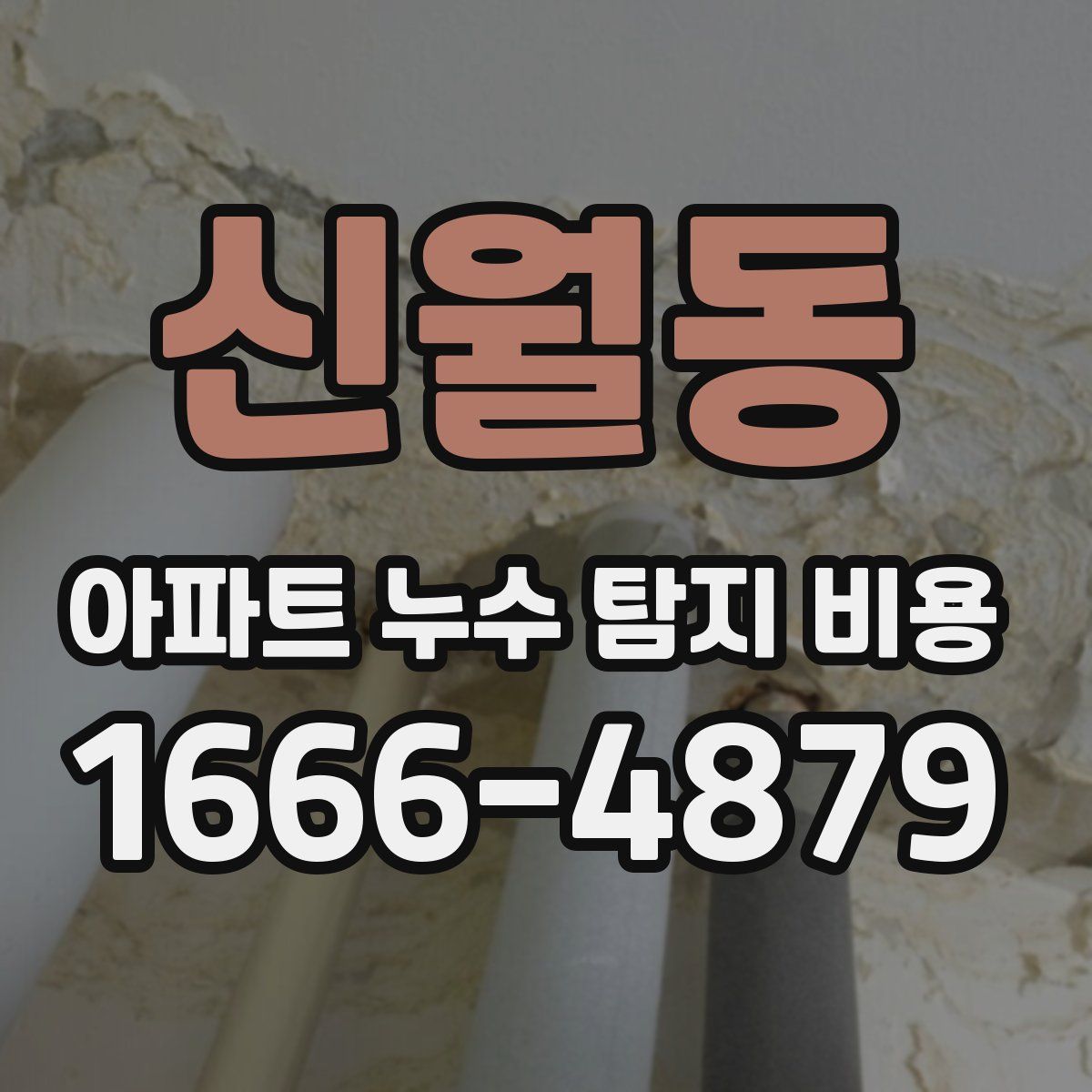 신월동 아파트 누수 탐지 비용