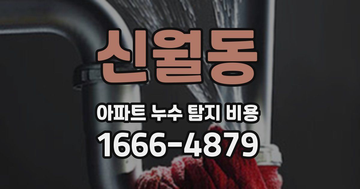 신월동 아파트 누수 탐지 비용
