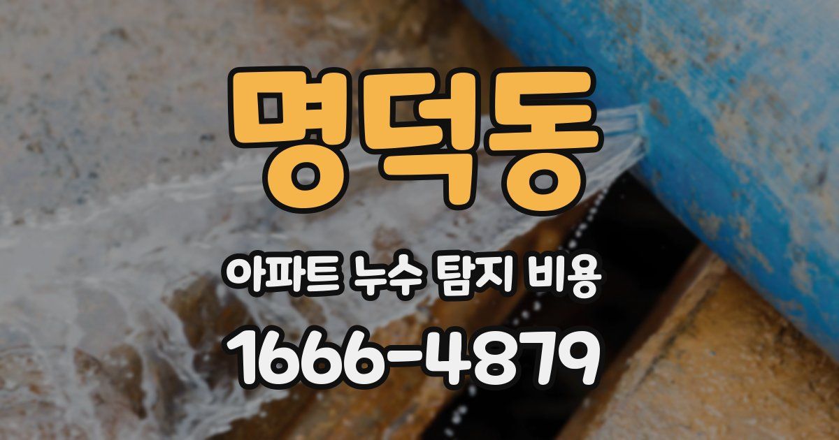 명덕동 아파트 누수 탐지 비용