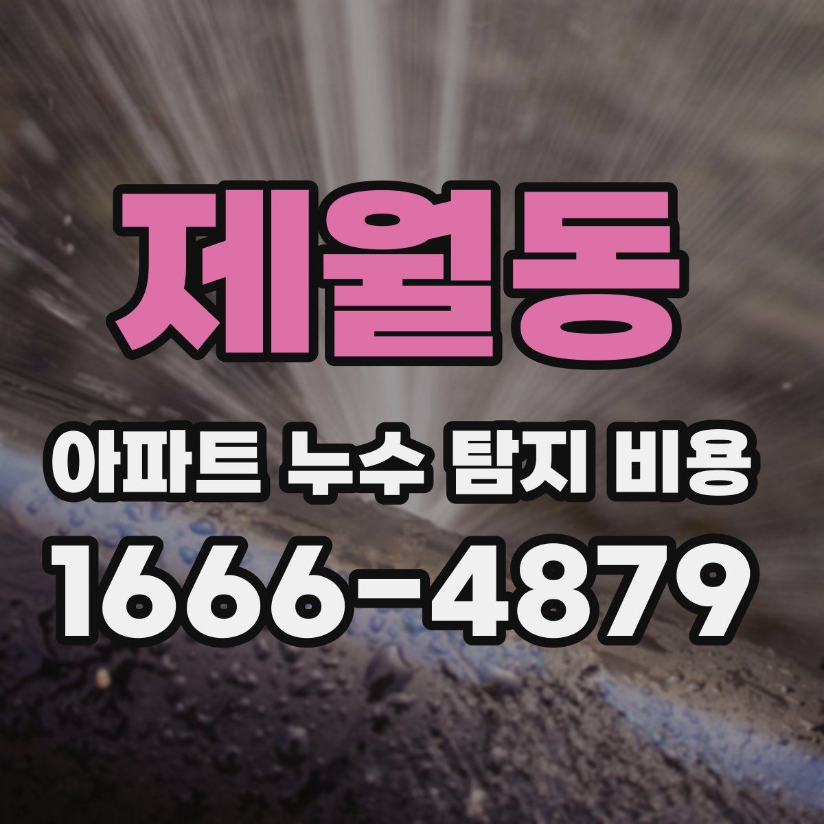 제월동 아파트 누수 탐지 비용