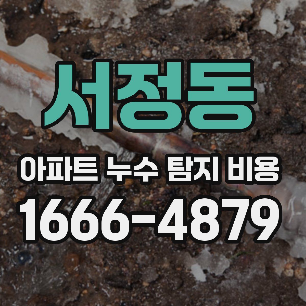 서정동 아파트 누수 탐지 비용