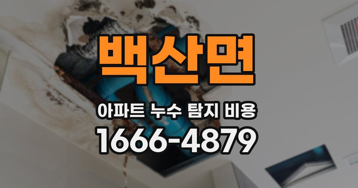 백산면 아파트 누수 탐지 비용