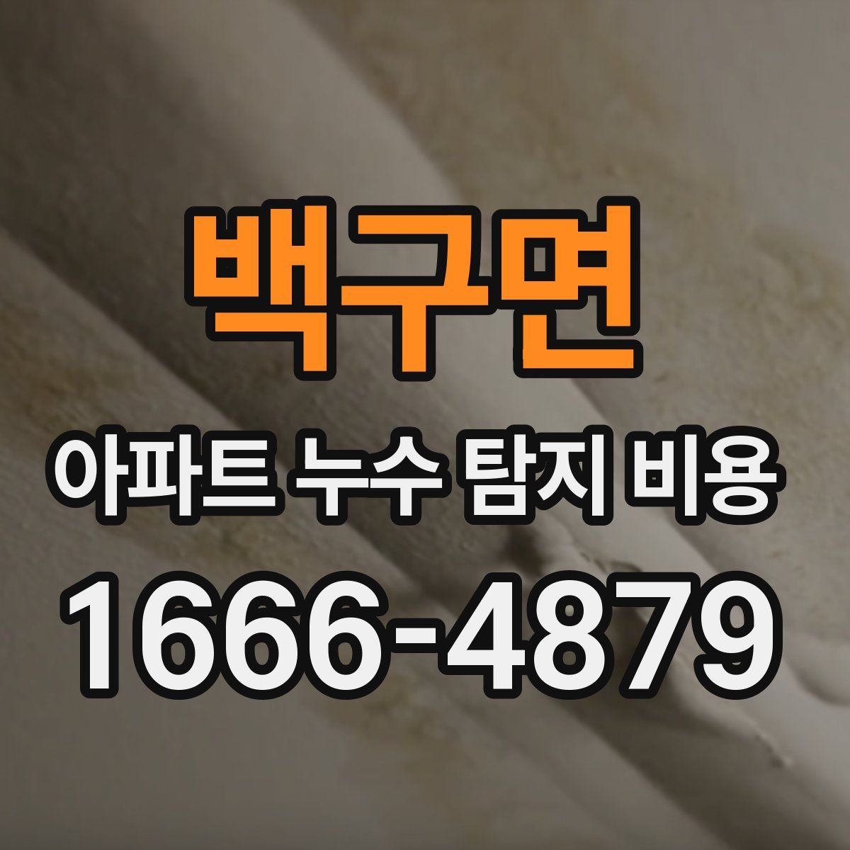 백구면 아파트 누수 탐지 비용