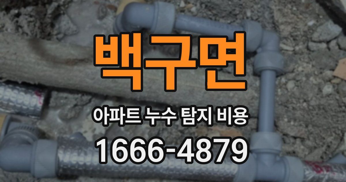 백구면 아파트 누수 탐지 비용