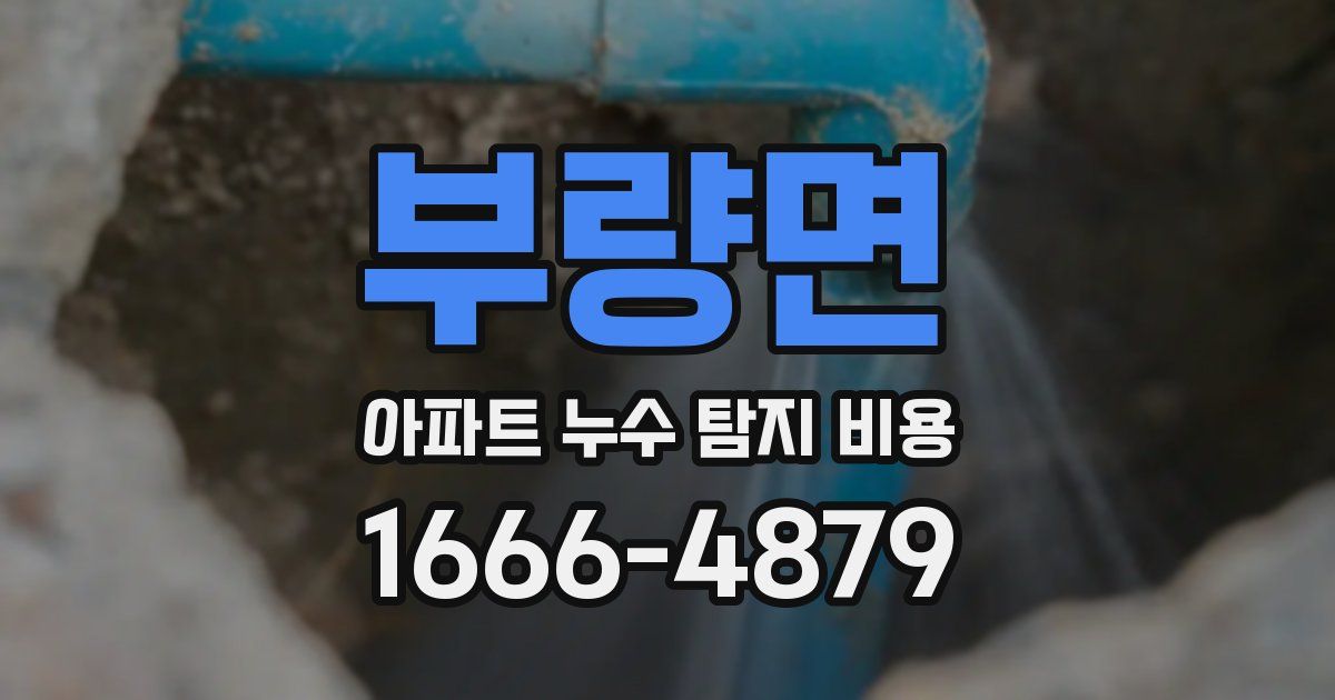 부량면 아파트 누수 탐지 비용
