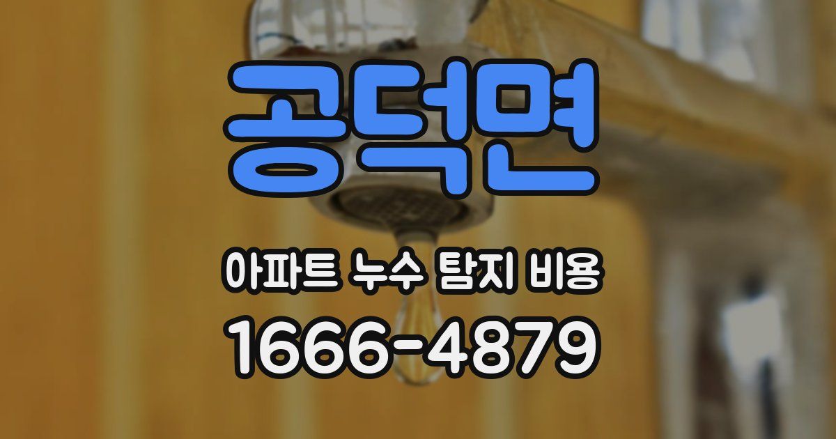 공덕면 아파트 누수 탐지 비용