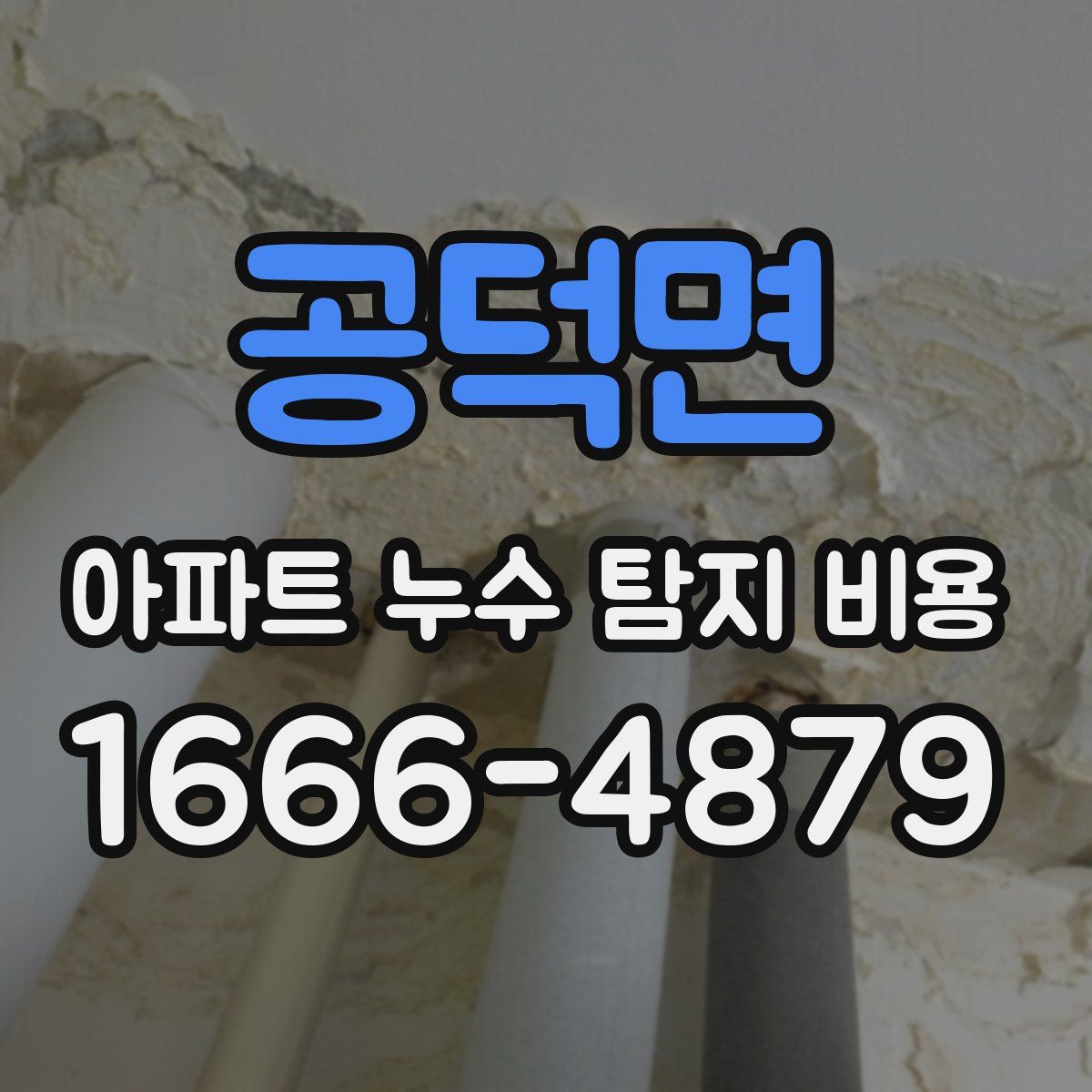 공덕면 아파트 누수 탐지 비용