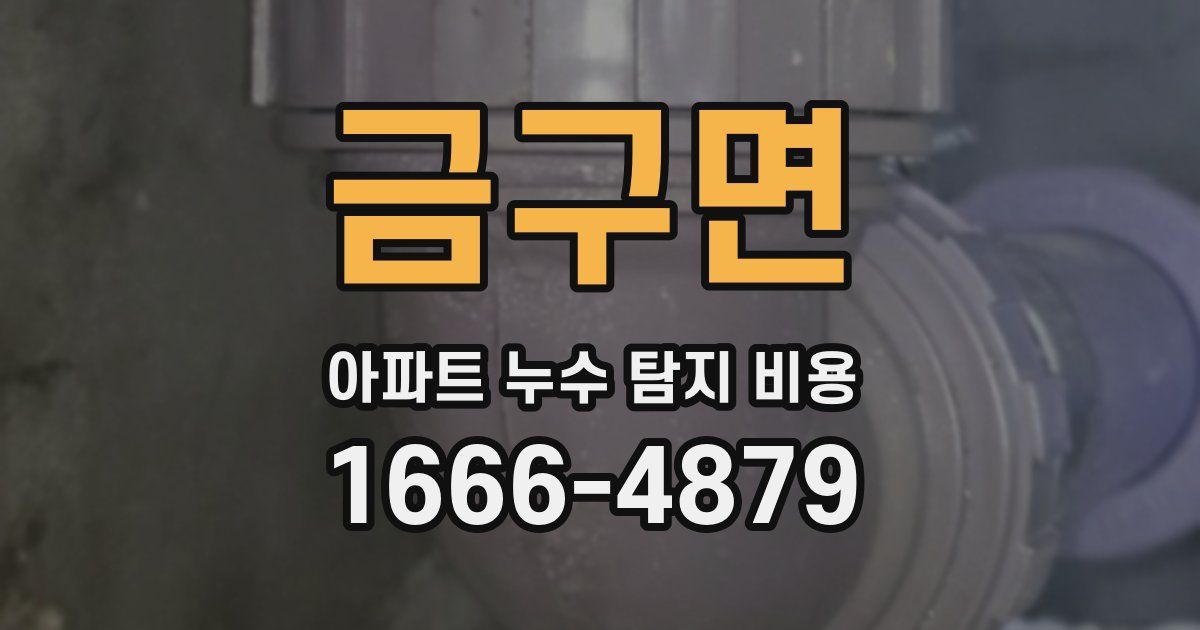 금구면 아파트 누수 탐지 비용