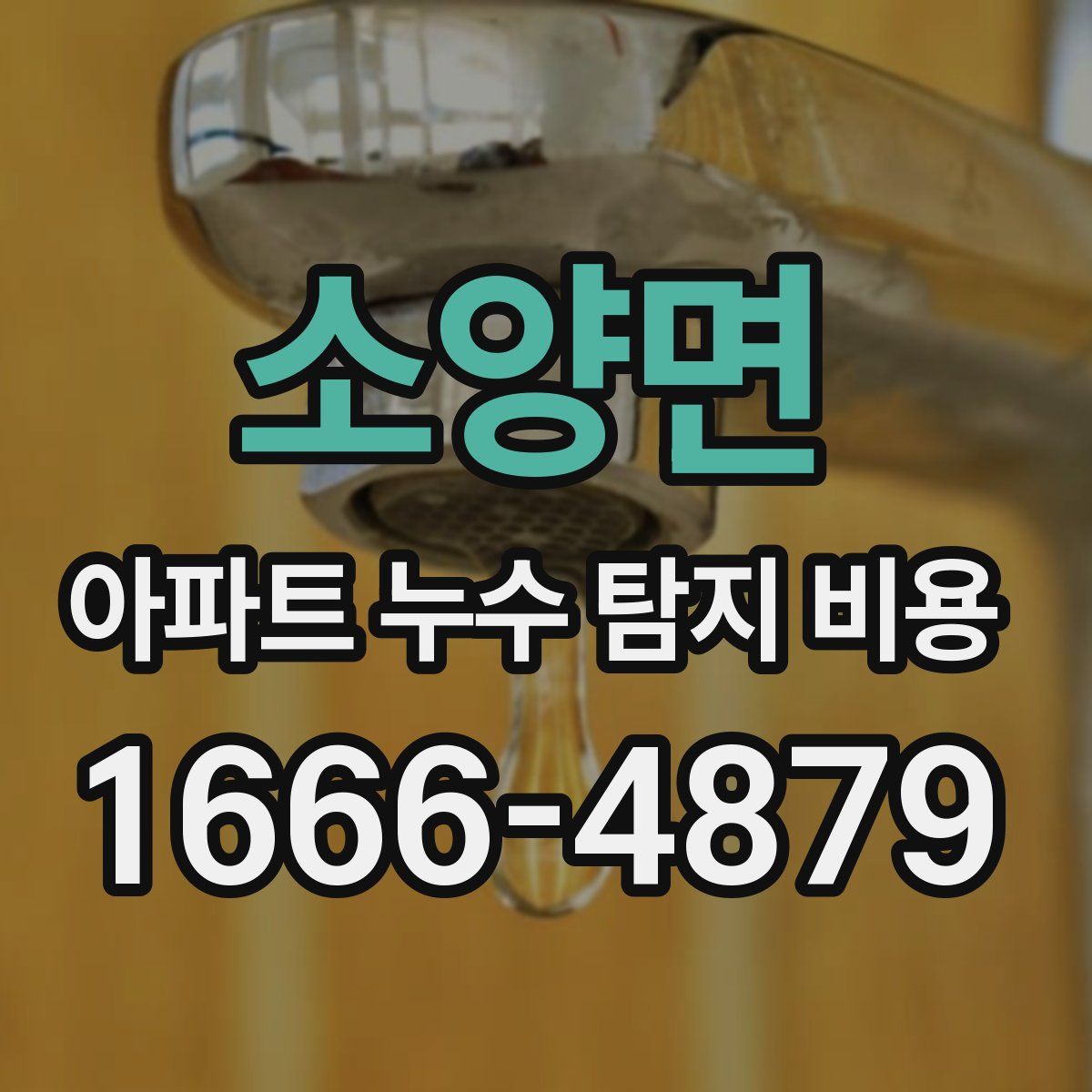 소양면 아파트 누수 탐지 비용