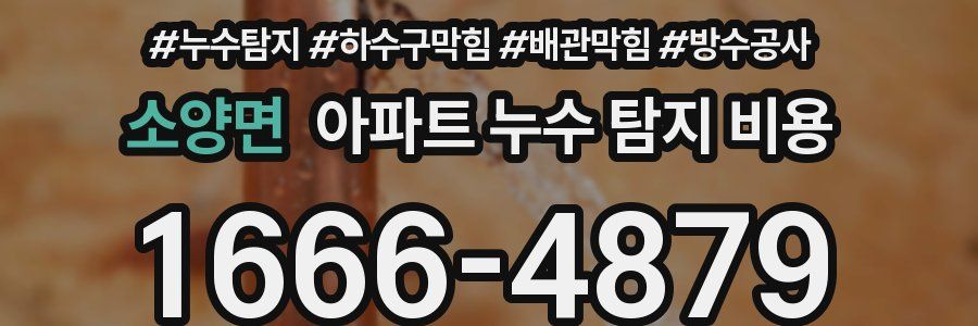 소양면 아파트 누수 탐지 비용