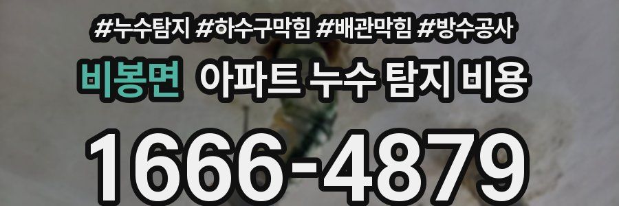 비봉면 아파트 누수 탐지 비용