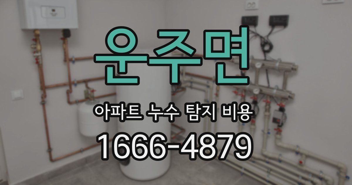 운주면 아파트 누수 탐지 비용