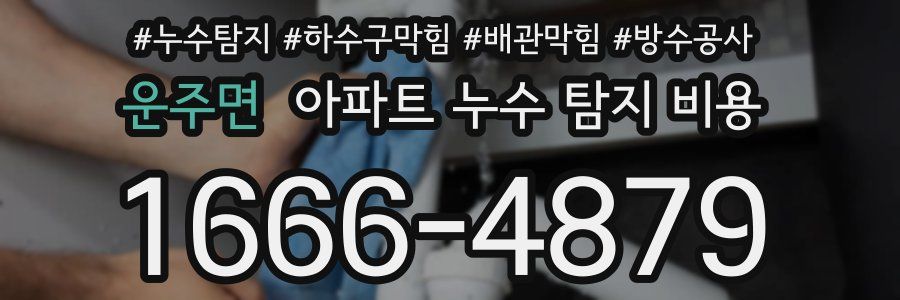 운주면 아파트 누수 탐지 비용
