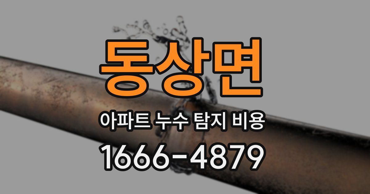 동상면 아파트 누수 탐지 비용