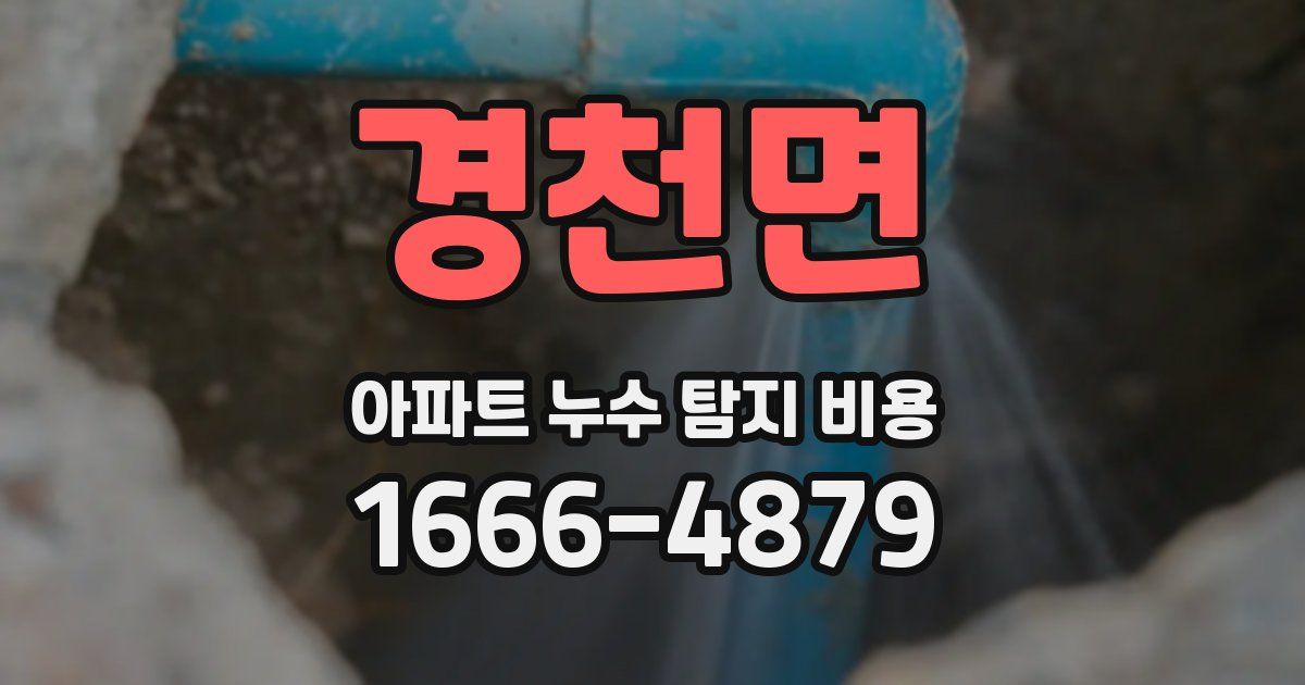 경천면 아파트 누수 탐지 비용