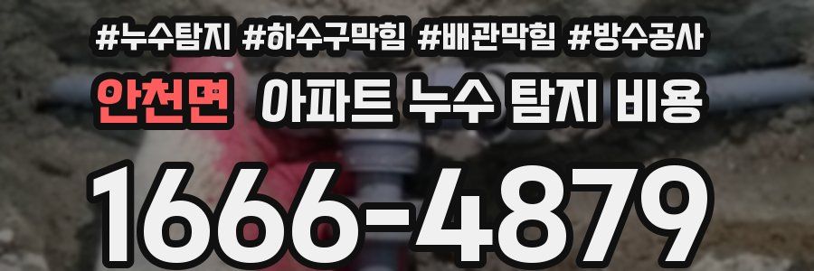 안천면 아파트 누수 탐지 비용