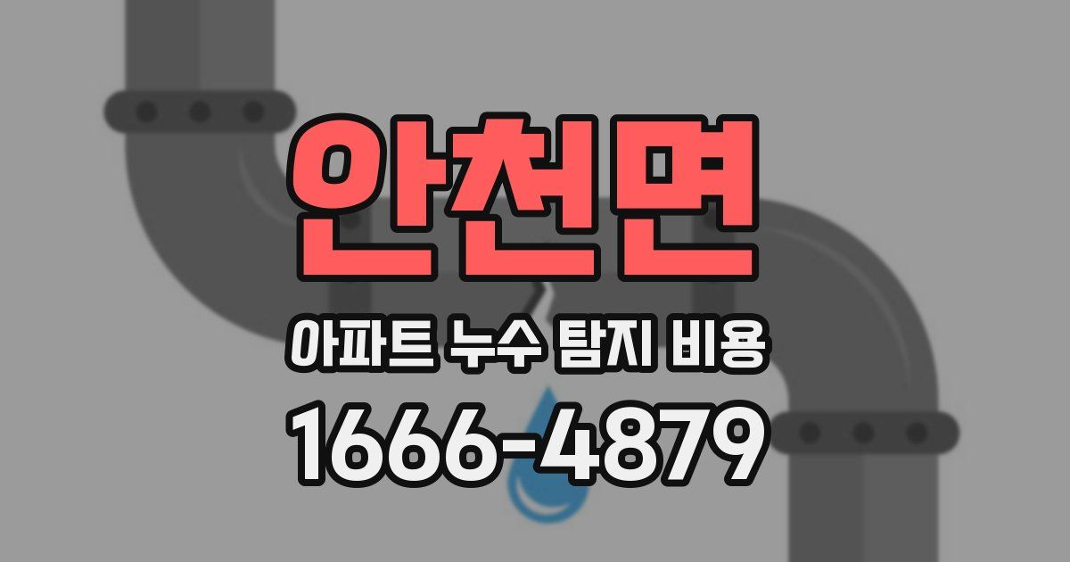 안천면 아파트 누수 탐지 비용