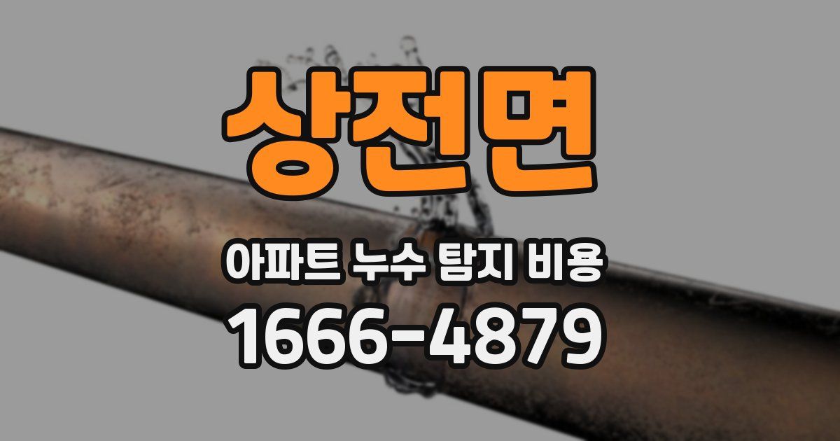 상전면 아파트 누수 탐지 비용