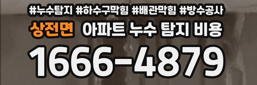 상전면 아파트 누수 탐지 비용