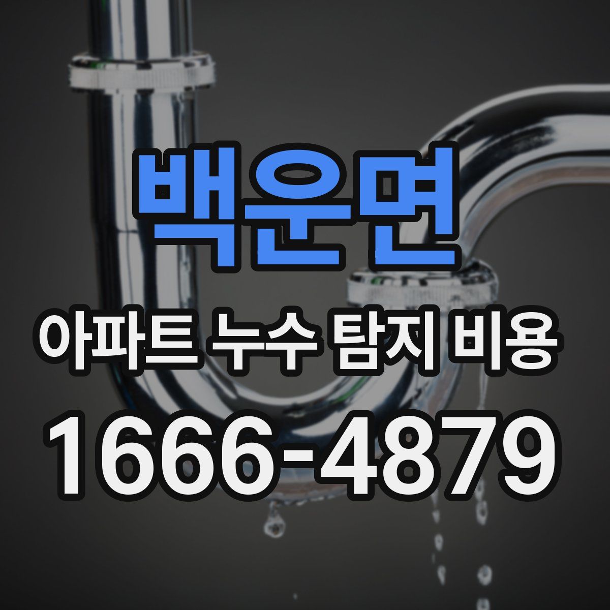 백운면 아파트 누수 탐지 비용